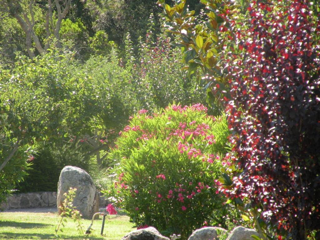 Готель Les Jardins De Santa Giulia Порто-Веккіо Екстер'єр фото